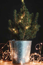 Load image into Gallery viewer, Lumin Essence Copper Wire Mini Lights