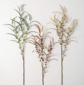 Seed Blade Eucalyptus Pick