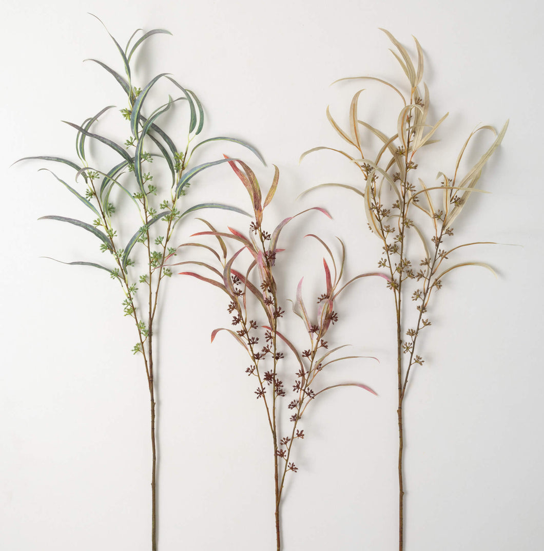 Seed Blade Eucalyptus Pick