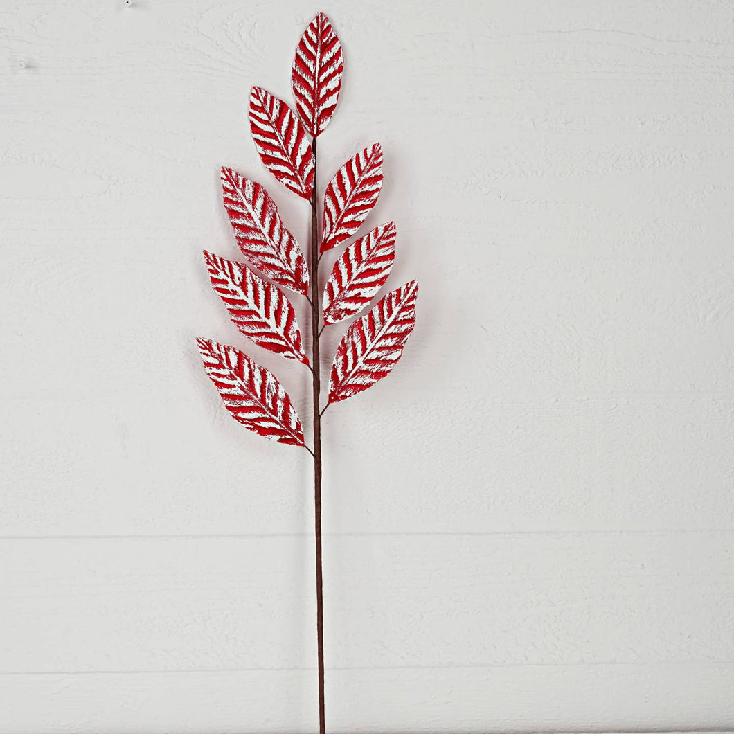 Velvet Red Magnolia Leaves with Snowy Veins Pick