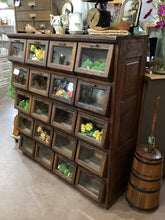 Load image into Gallery viewer, 20 Drawer Vintage Seed Cabinet
