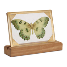 Load image into Gallery viewer, Butterfly Image with Stand
