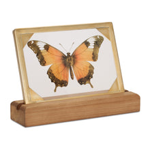 Load image into Gallery viewer, Butterfly Image with Stand
