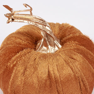 Fall Velvet Pumpkins