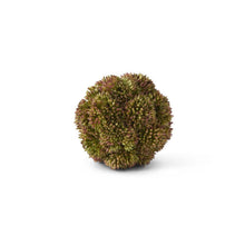 Load image into Gallery viewer, Sedum Ball
