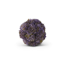 Load image into Gallery viewer, Sedum Ball

