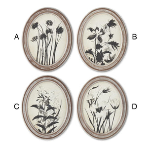 Wood Framed Oval Black & White Botanical Prints