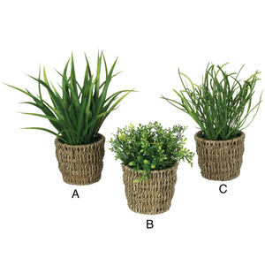 Woven Foliage Potted Plants