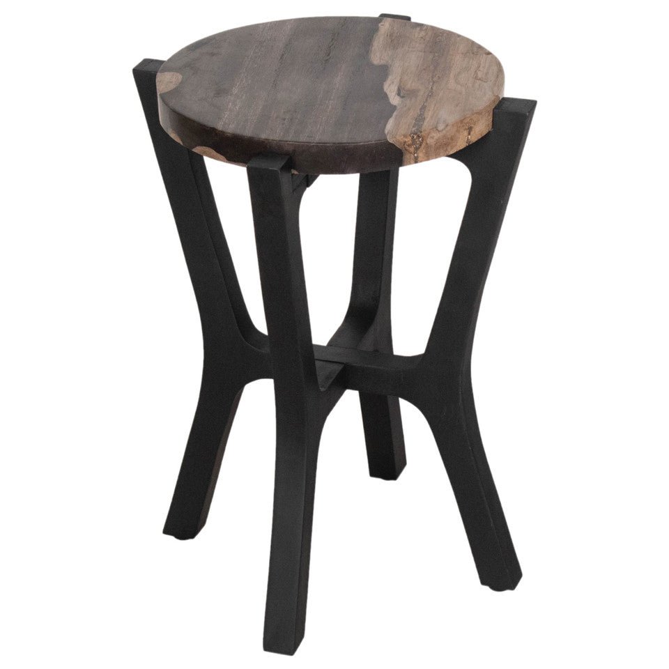 Petrified Wood Top Accent Table