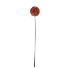 Load image into Gallery viewer, Fall Allium Stem
