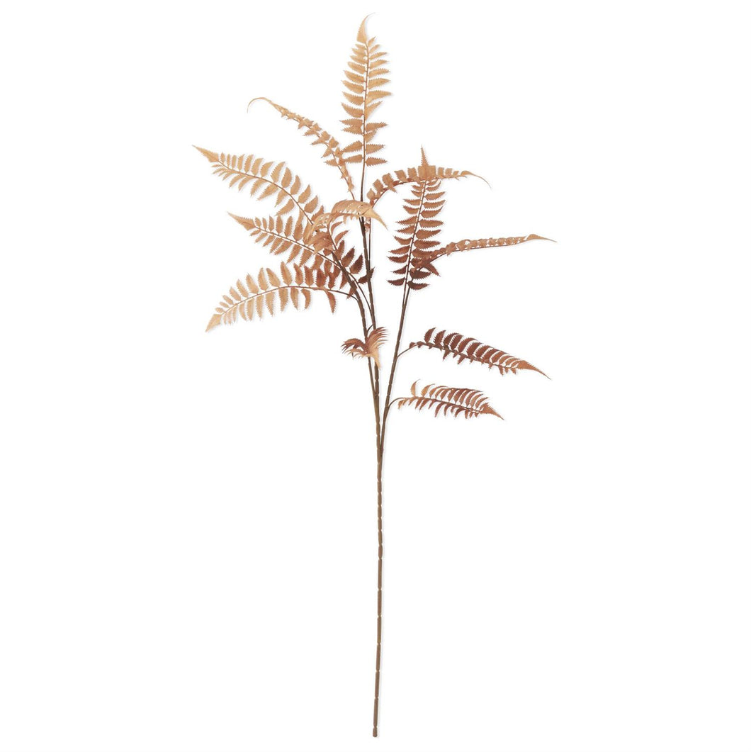 Brown Fern Spray