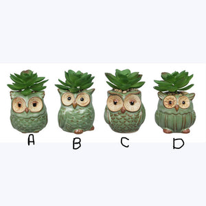Stoneware Owl Succulent Planter