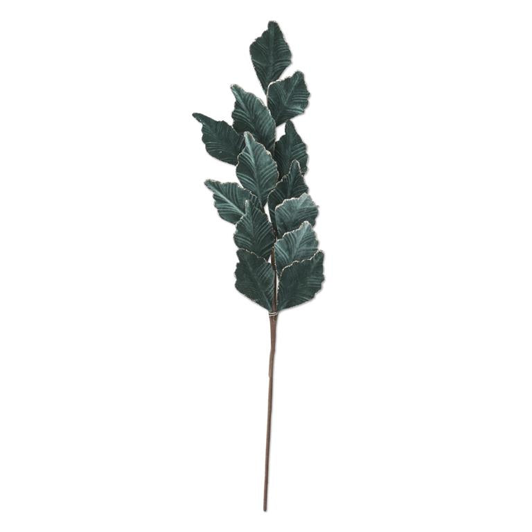 Dusty Green Leaf Stem