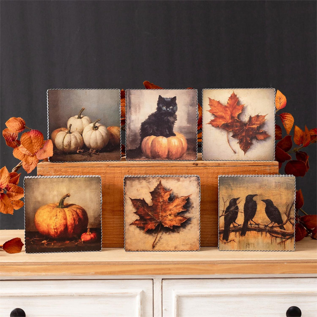 Fall Still Life Shelf Setters