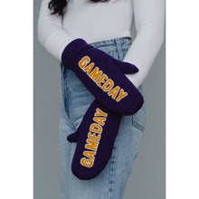 Load image into Gallery viewer, Game Day Mittens

