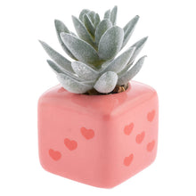 Load image into Gallery viewer, Shaped Succulent Pot
