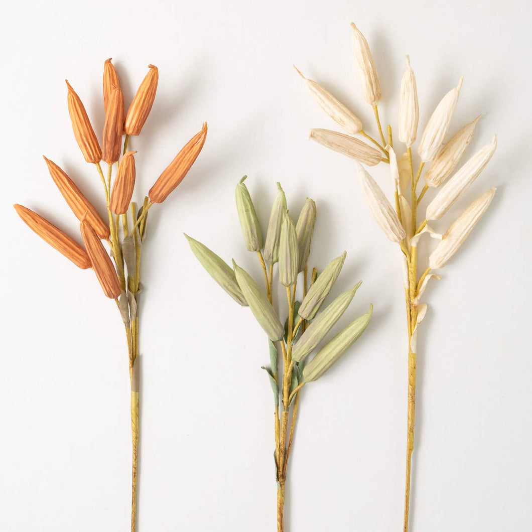 Fall Dried Okra Pick