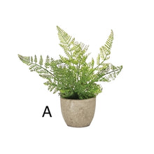 Load image into Gallery viewer, Potted Fern
