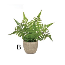 Load image into Gallery viewer, Potted Fern
