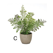 Load image into Gallery viewer, Potted Fern
