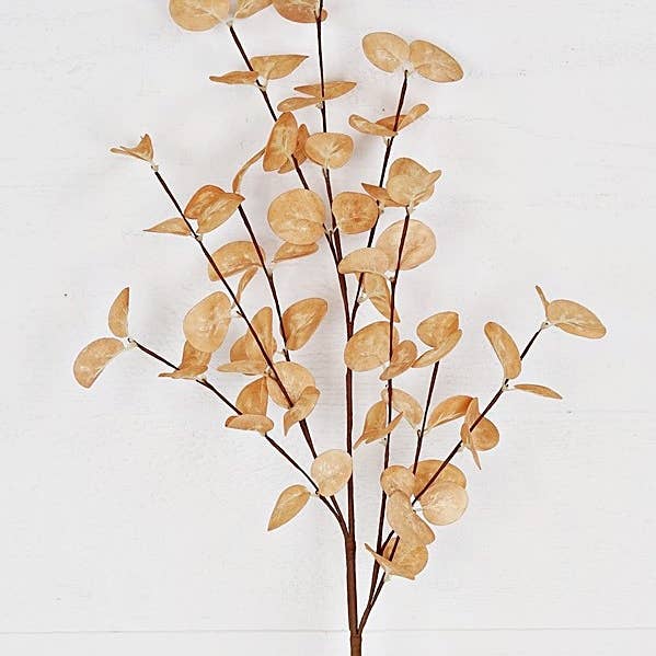 Silver Dollar Leaves