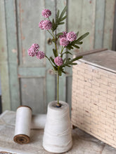 Load image into Gallery viewer, Flitter Poms Pick
