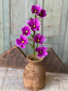 Cockle Cosmos Spray – Market 52