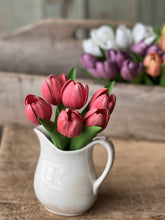 Load image into Gallery viewer, Poppet Tulip Bundle
