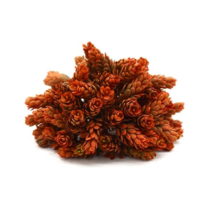 Orange Hops Orb
