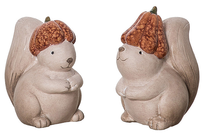 Squirrel w/ Pumpkin Hat