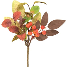 Load image into Gallery viewer, Fall Gooseberry &amp; Leaves
