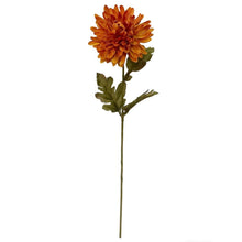 Load image into Gallery viewer, County Fair Chrysanthemum
