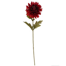 Load image into Gallery viewer, County Fair Chrysanthemum
