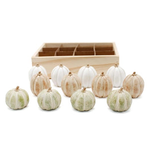 White, Tan or Green Mini Pumpkins