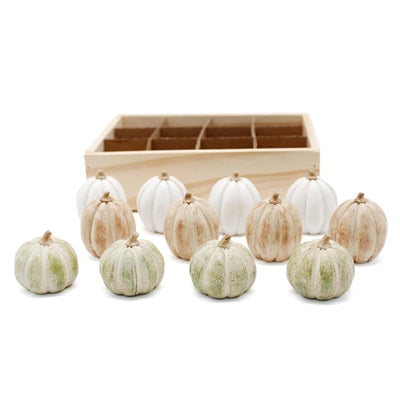 White, Tan or Green Mini Pumpkins