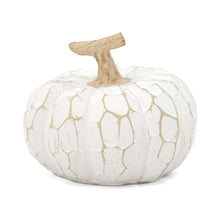 Load image into Gallery viewer, White Carved Large Pumpkin
