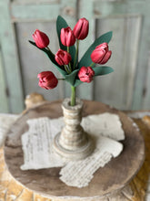 Load image into Gallery viewer, Triumph Tulip Bundle
