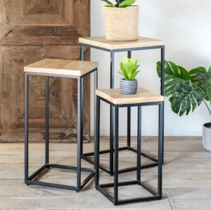 Mango Wood Plant Stands