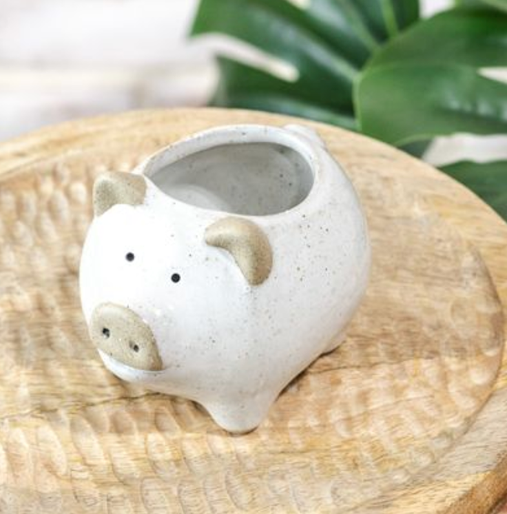 Two Tone Ceramic Pig Planter