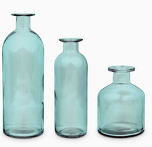 Load image into Gallery viewer, Color Vases
