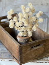 Load image into Gallery viewer, Urchin Buds Pick
