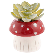 Load image into Gallery viewer, Shaped Succulent Pot
