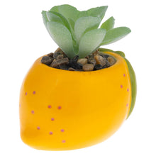 Load image into Gallery viewer, Shaped Succulent Pot
