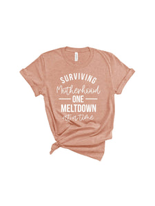 Surviving Motherhood One Meltdown at a Time T-Shirt