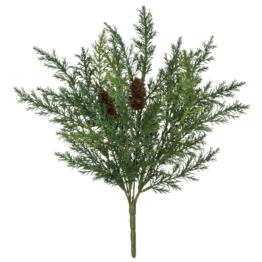 Arborvitae Pick