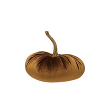 Load image into Gallery viewer, Velvet Pumpkin with Resin Stem
