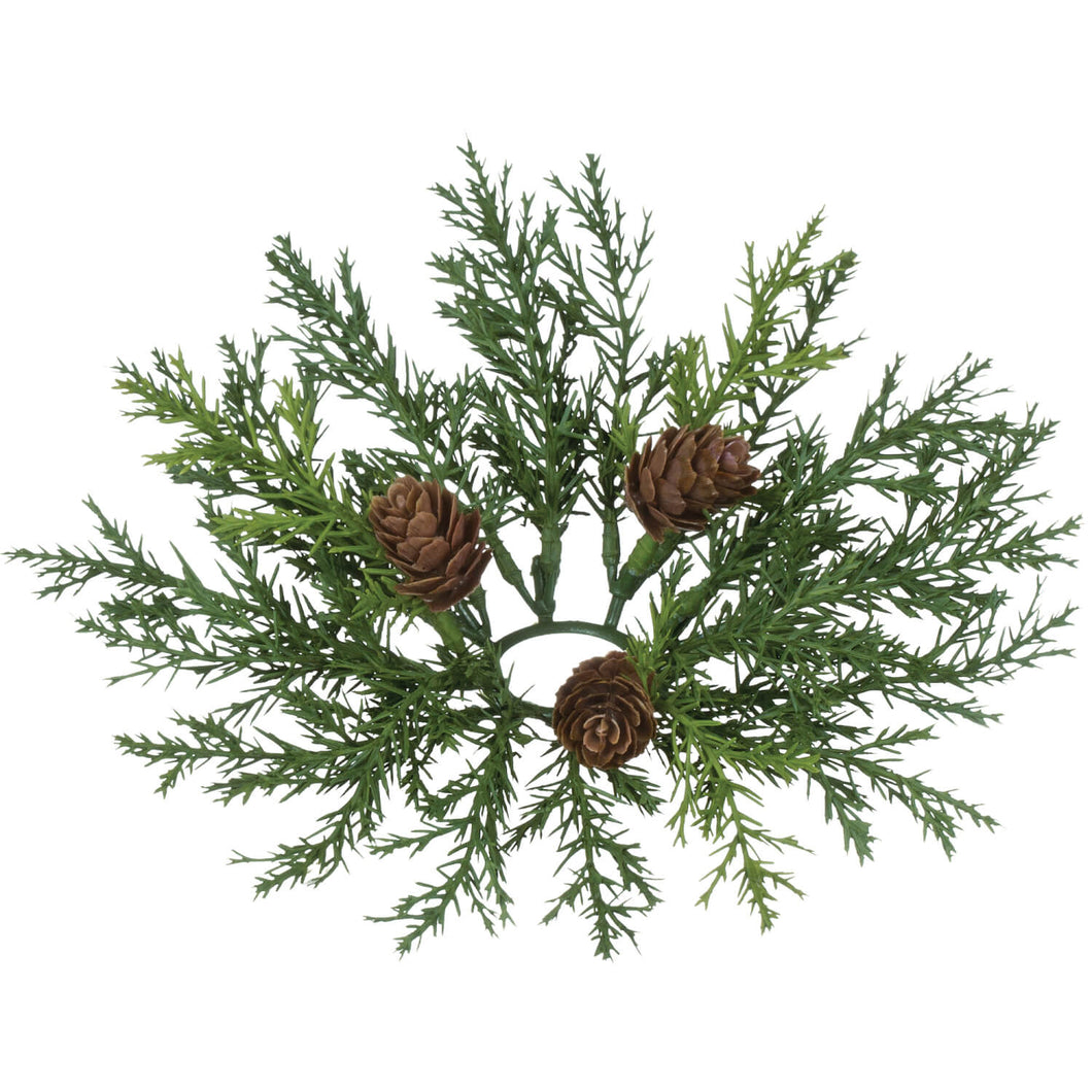 Arborvitae Accent Ring