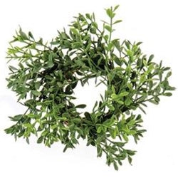 New England Boxwood Candle Ring