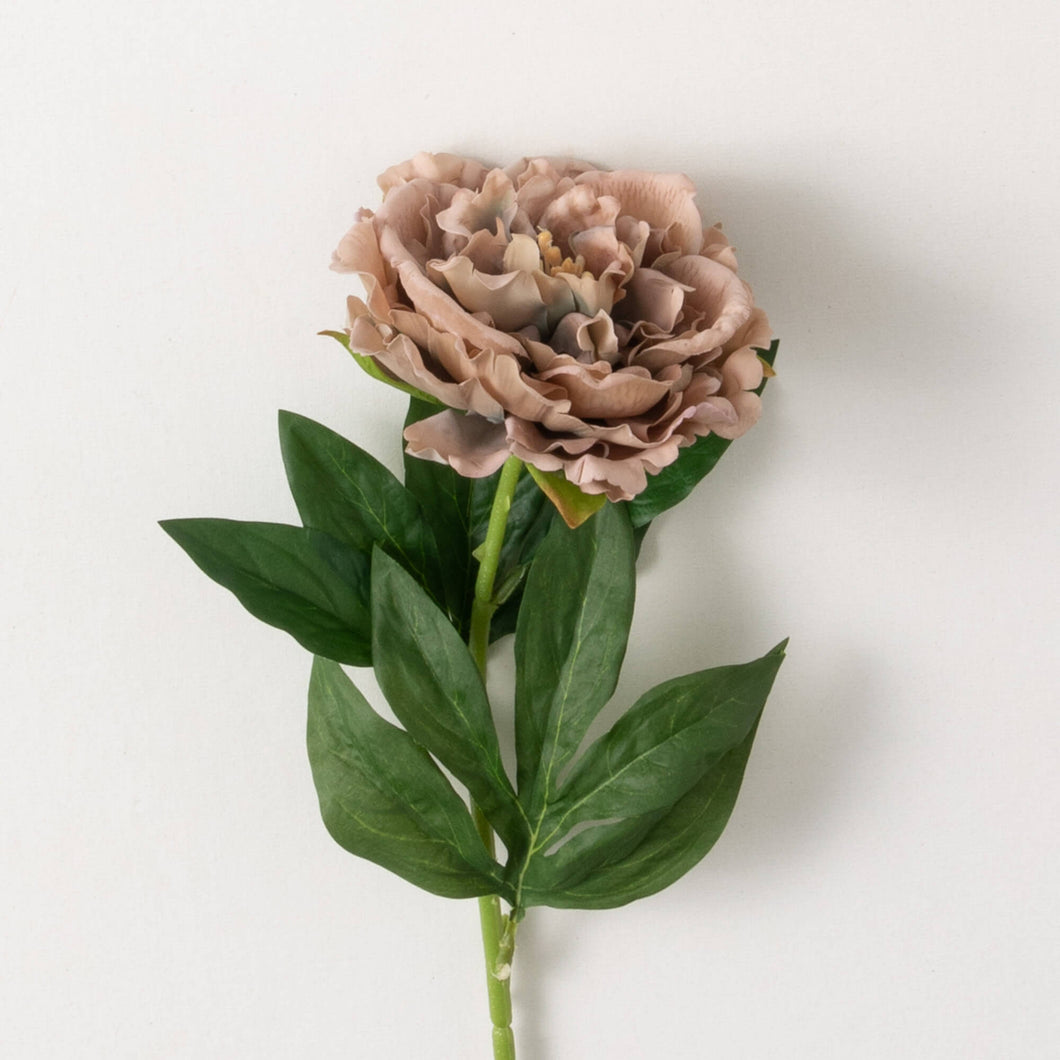 Peony Stem