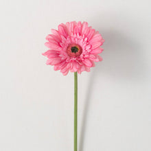 Load image into Gallery viewer, Classic Gerber Daisy
